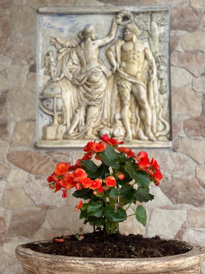 The Odyssey Holiday Home - Agios Ioannis, Pelion Άγιος Ιωάννης Εξωτερικό φωτογραφία